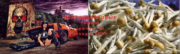 гашишное масло Абдулино