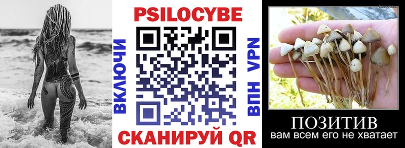 закладки  Ялта  Псилоцибиновые грибы Magic Shrooms 